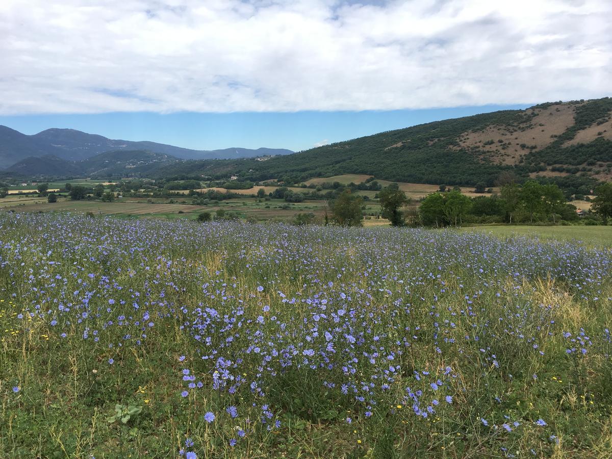 Tenuta Due Laghi Rivodutri Luaran gambar